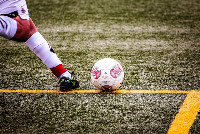 不僅展現了 不僅展現了