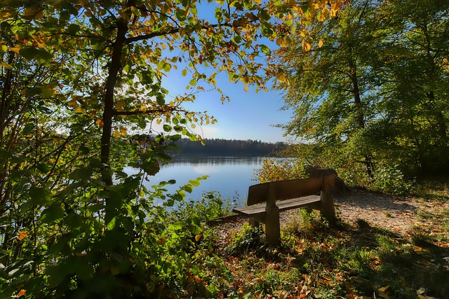 本文将探讨 本文将探讨