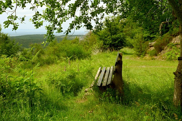 中变得越来 中变得越来